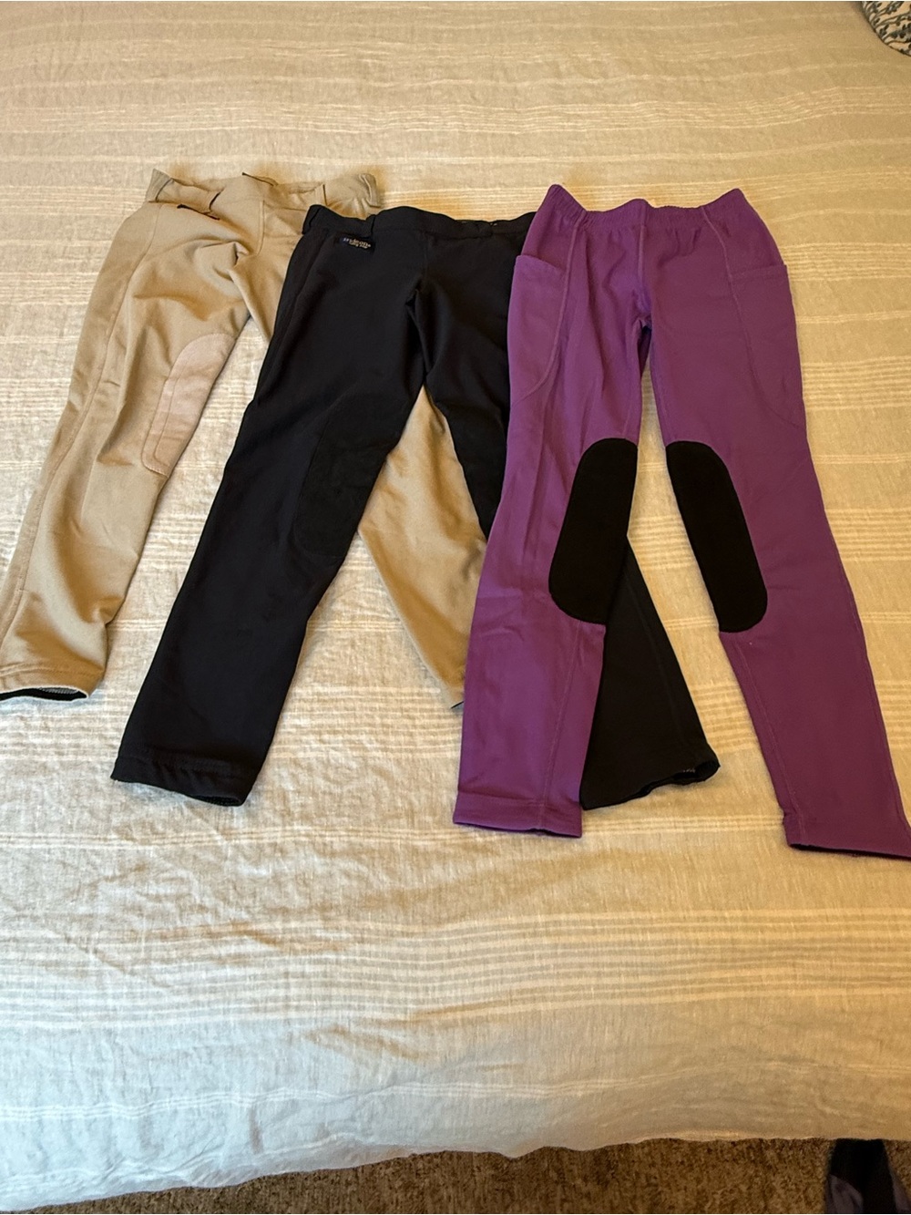 Kids Riding Leggings in Beige, Black & Purple size Medium